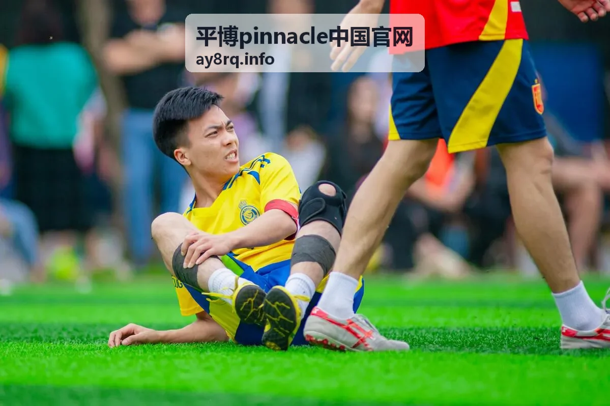 平博pinnacle中国官网 历史对阵检索服务